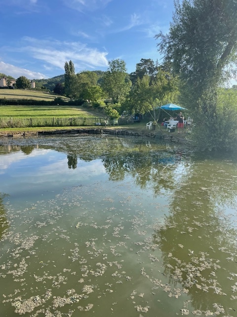 Etang privatif avec coin pique-nique et parasol au domaine Luzy-Macarez