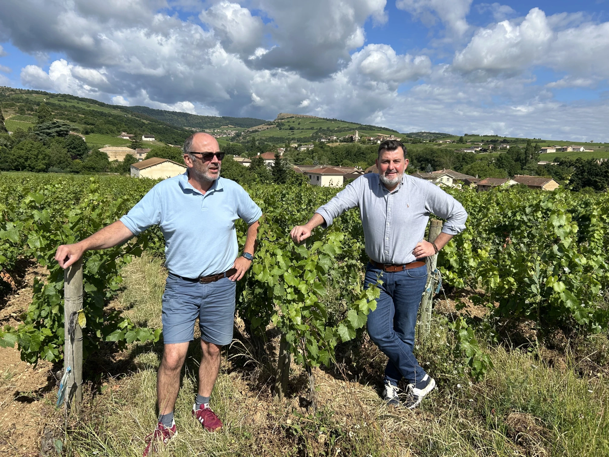 luzy-macarez-vignes-maconnais-3